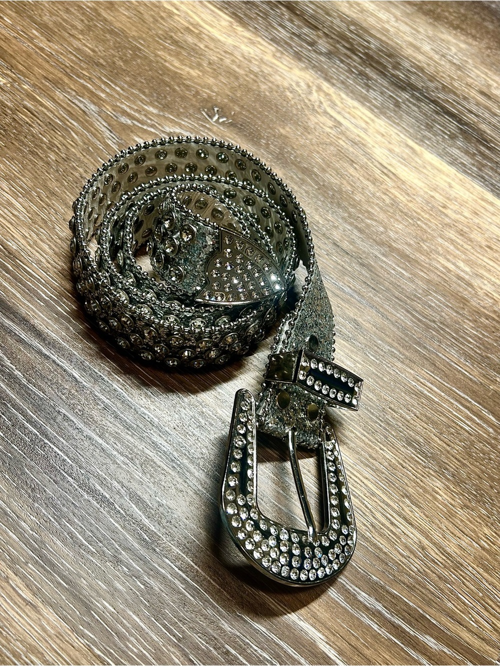 Silver Rhinestone Bling Belt 105cm ✨ Y2K Western Statement Belt